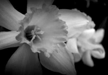 IMG 4912 X2 PRO
