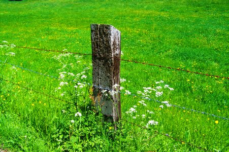 Old wood columns rusted wire fence green pastures photo