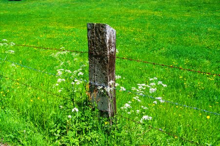 Old wood columns rusted wire fence green pastures