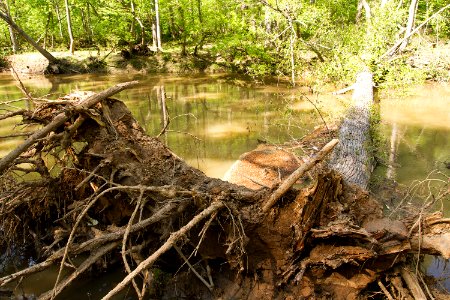 Stream bank erosion photo