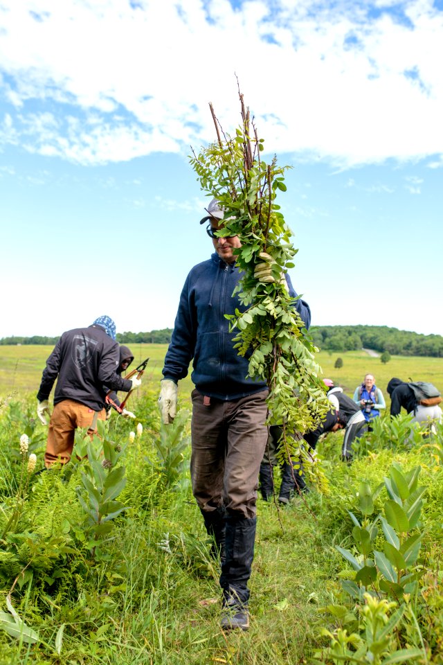 Groundwork RVA's Green Team