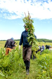 Groundwork RVA's Green Team