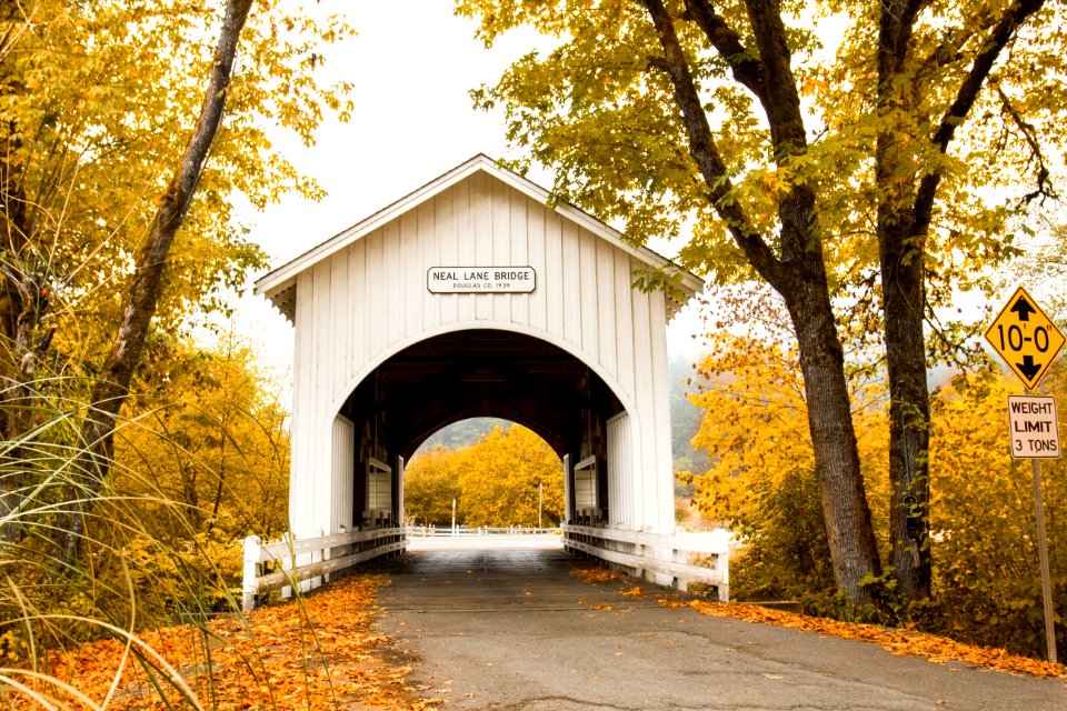 Neal Lane covered bridge, Oregon