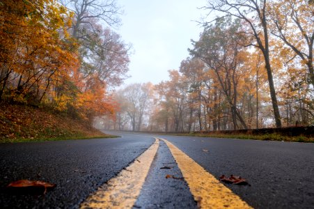 Low Perspective on Skyline Drive