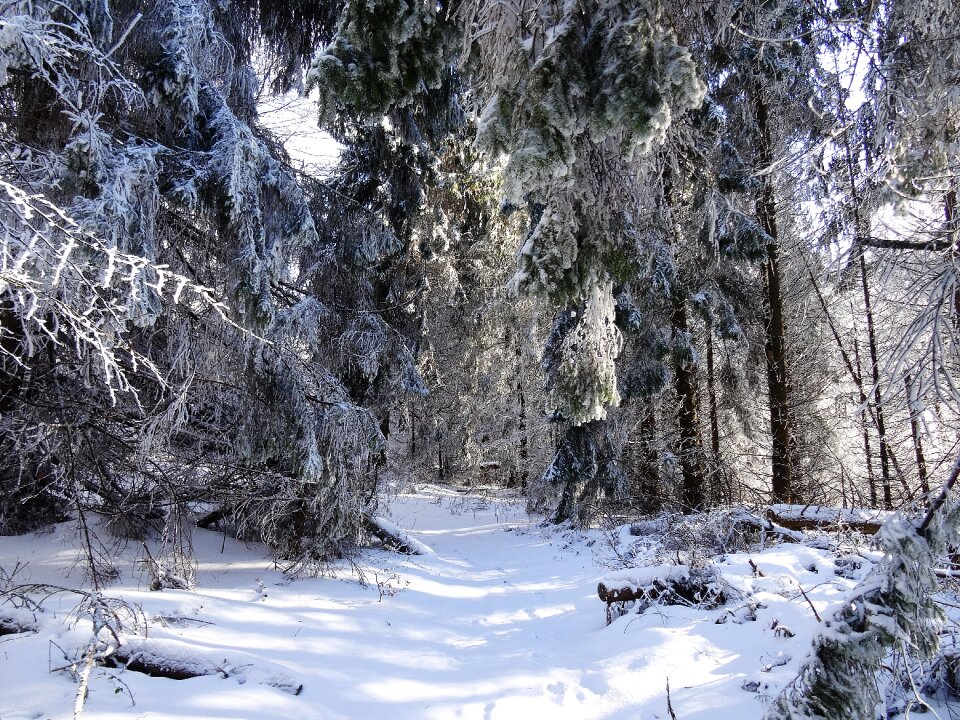 View landscape nature