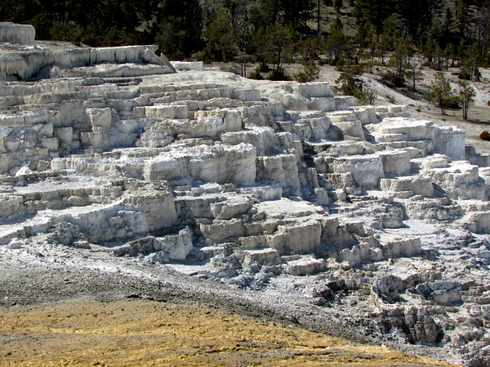Yellowstone NP in WY