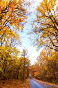 Fall at Low Gap photo