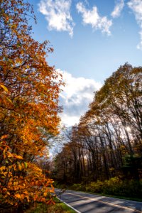 Fall Beauty on Skyline Drive photo