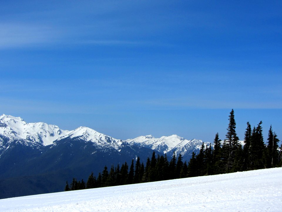 Hurricane Ridge at Olympic NP in WA