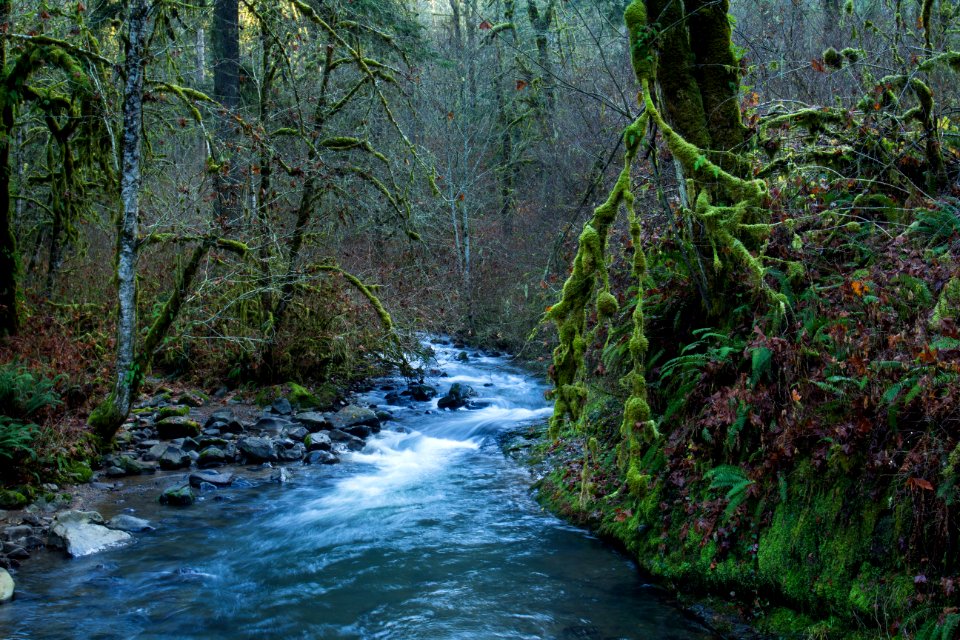 McDowell Creek, Oregon photo