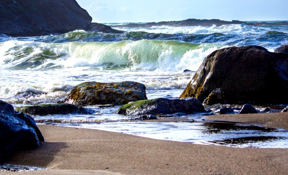 Oregon Coast, in November photo