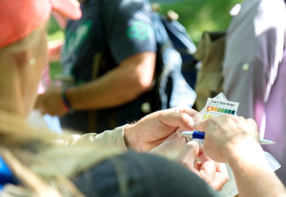 Water Quality Testing Activity