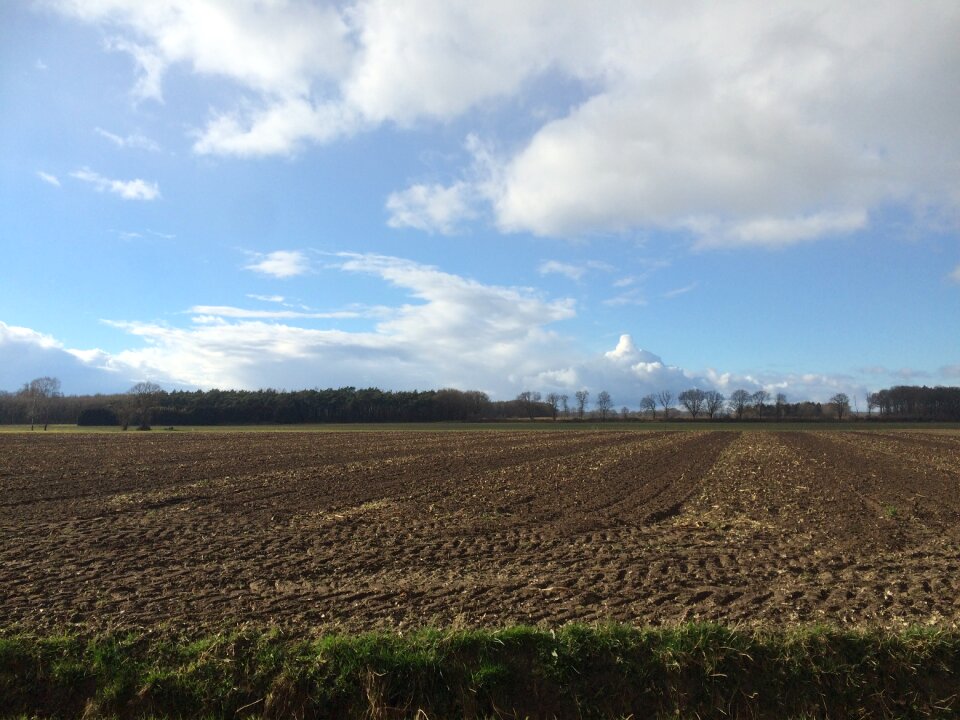 Green netherlands countryside