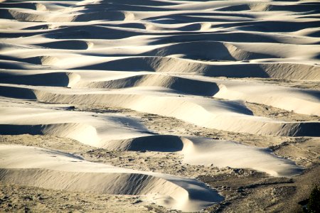 Silver sand dunes, Oregon