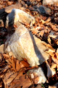 Quartz rock photo