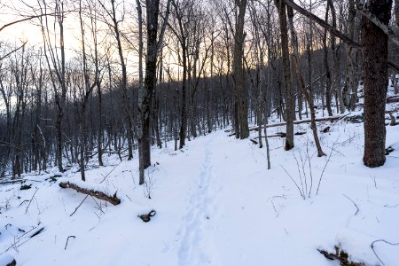 Appalachian Trail