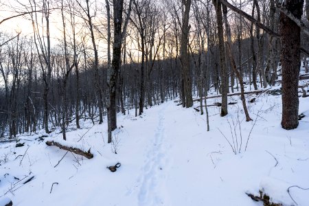 Appalachian Trail photo