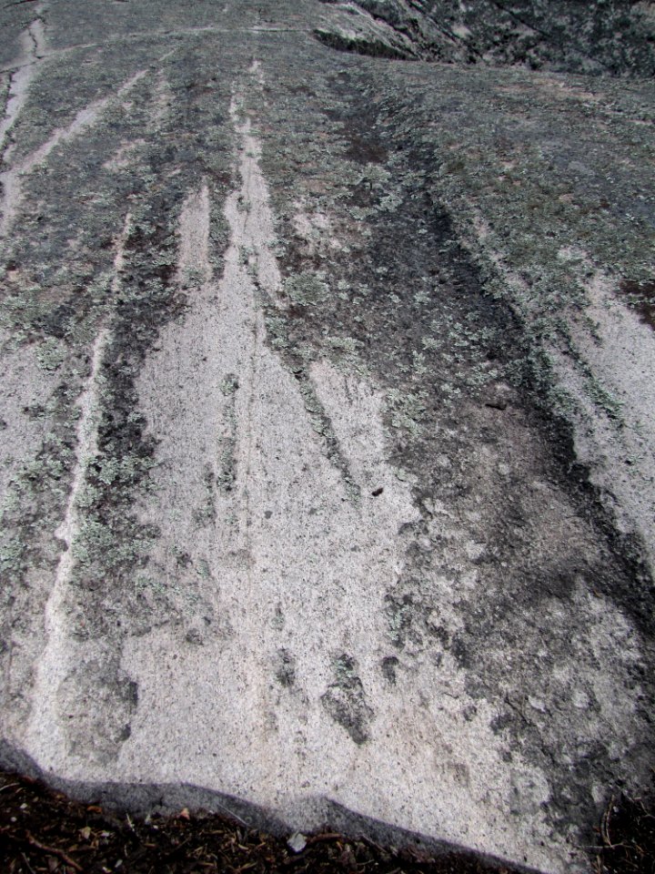 Glacial striations at Huron National Wildlife Refuge