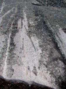 Glacial striations at Huron National Wildlife Refuge