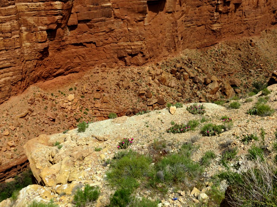 Marble Canyon in AZ