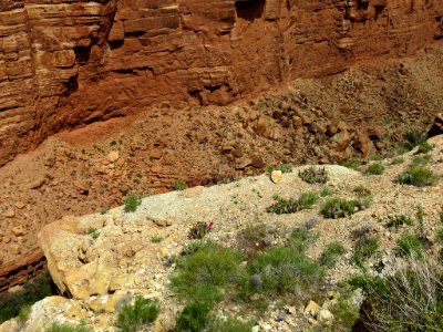 Marble Canyon in AZ