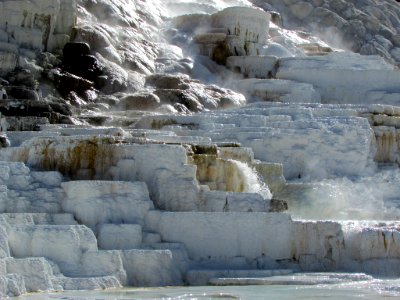 Yellowstone NP in WY