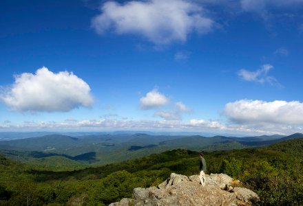 Bearfence Panorama nl
