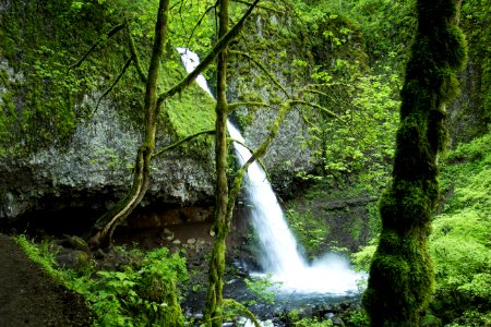 Ponytail Falls, Oregon photo