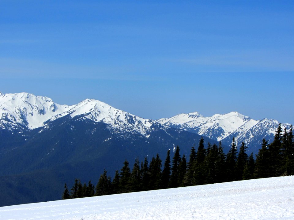 Hurricane Ridge at Olympic NP in WA