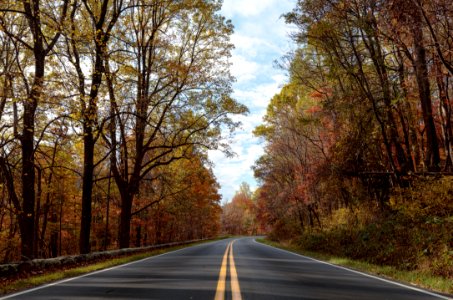 Fall - Skyline Drive