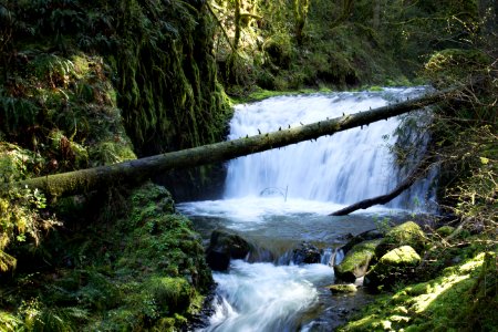 Middle Dutchman Falls, Oregon photo