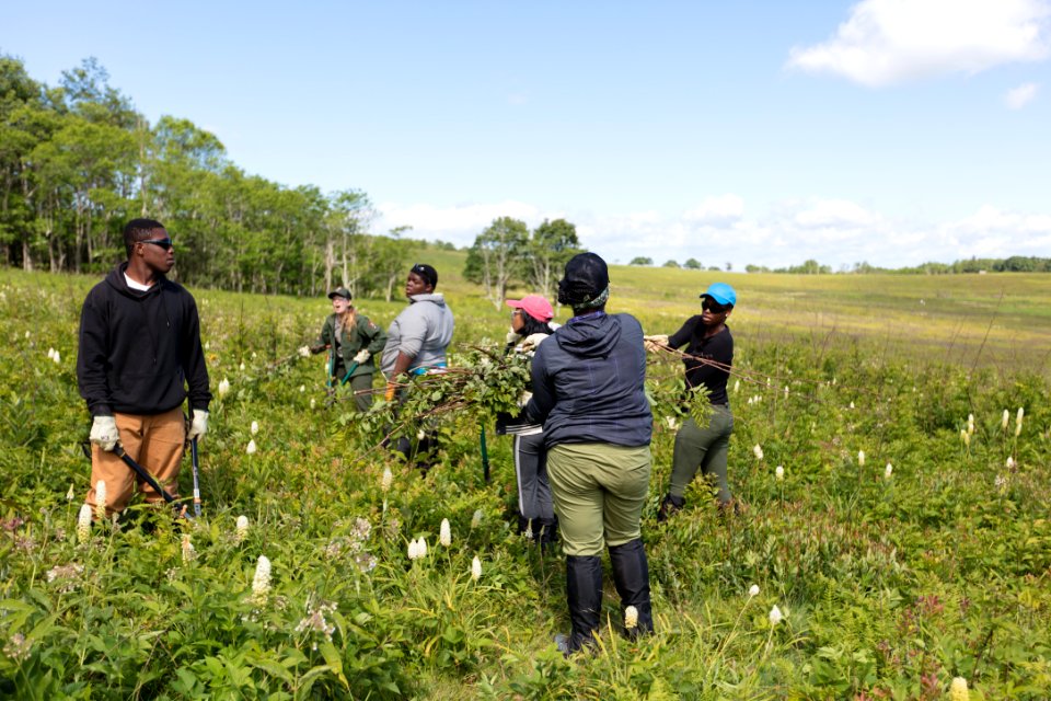 Groundwork RVA's Green Team