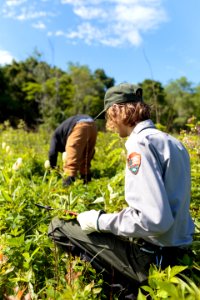 Groundwork RVA's Green Team