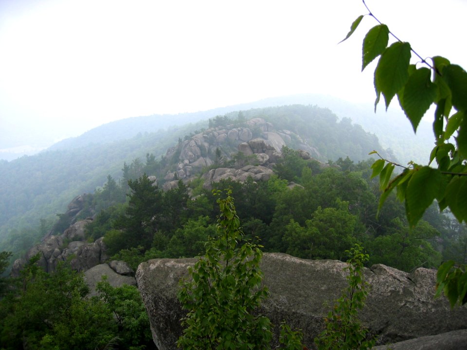 Old Rag boulders, fog