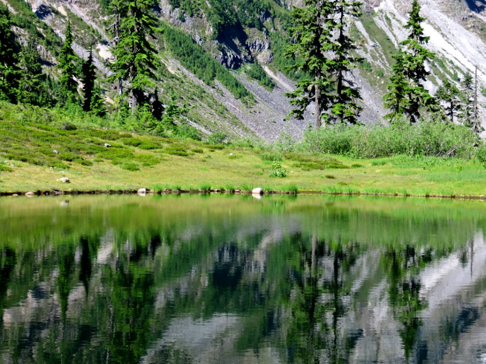 Austin Pass at Mt. Baker-Snoqualmie NF in WA