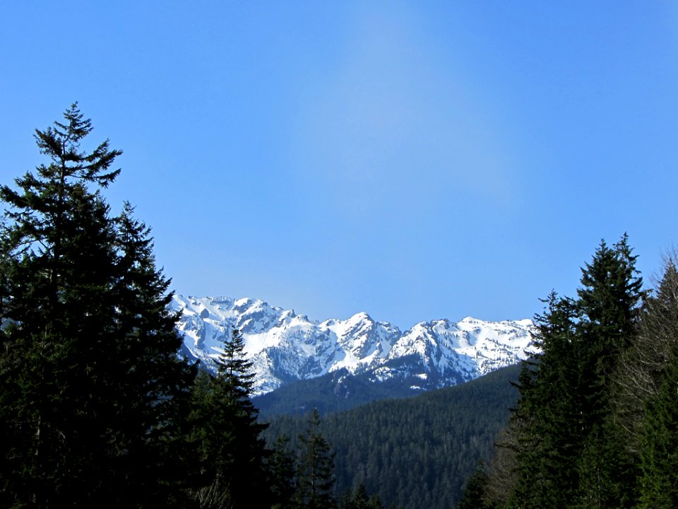 Hurricane Ridge at Olympic NP in WA