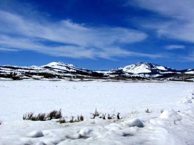 Yellowstone NP in WY photo