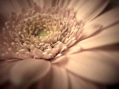 IMG 6165 X2