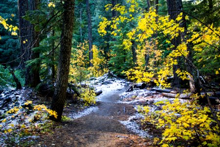 Tamanawas Trail, Oregon photo