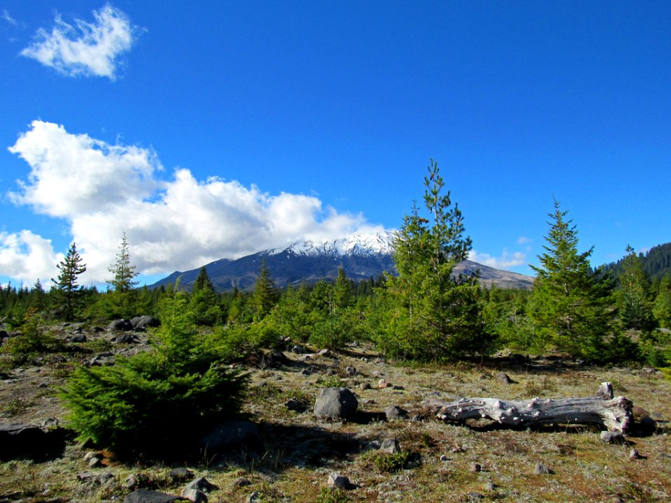 Lahar Viewpoint at Mt. St. Helens NM in WA