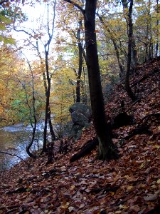 Steep slopes over Rock Creek