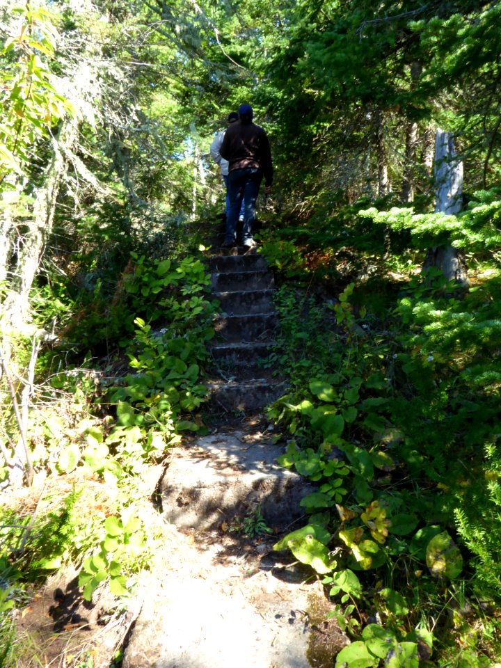 Stairs trail at Huron National Wildlife Refuge