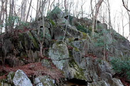 Rock outcrops on Pulpit Rock