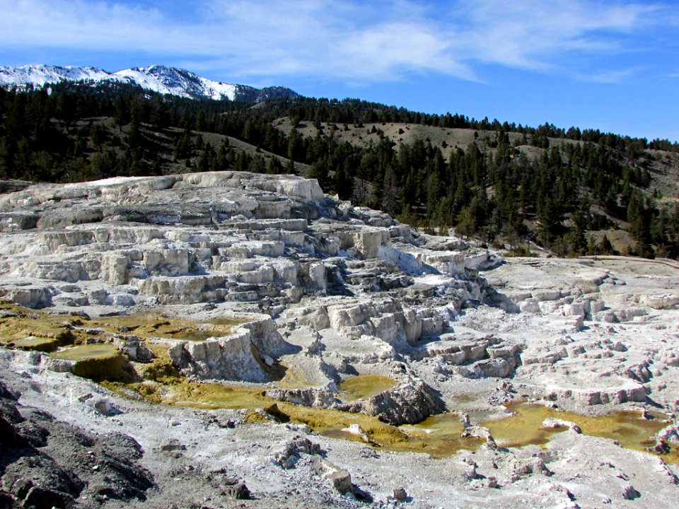 Yellowstone NP in WY