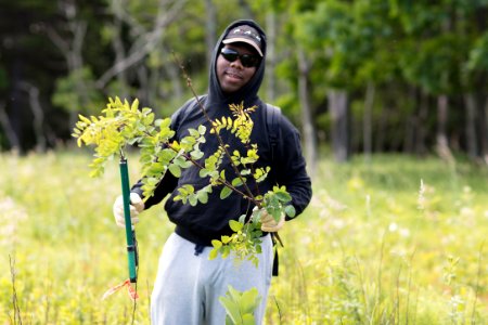 Groundwork RVA's Green Team