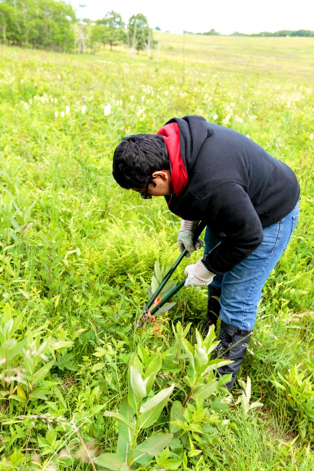 Groundwork RVA's Green Team
