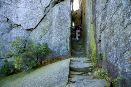 Ridge Trail - Old Rag Mountain