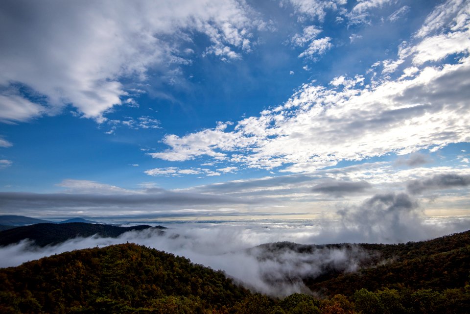 Fog Ocean at Buck Hollow
