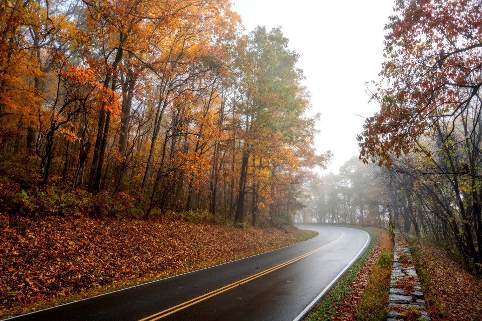 After the Rain on Skyline Drive