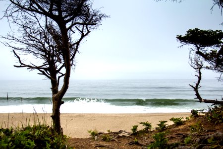 Gleneden Beach, Oregon photo